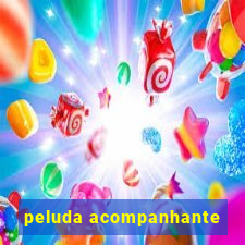 peluda acompanhante